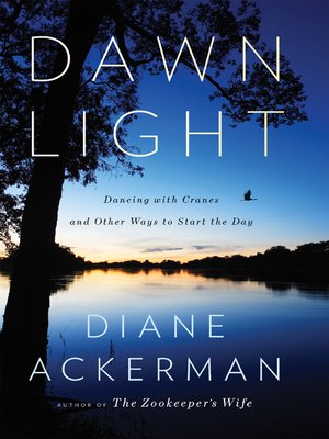 cover image of Dawn Light